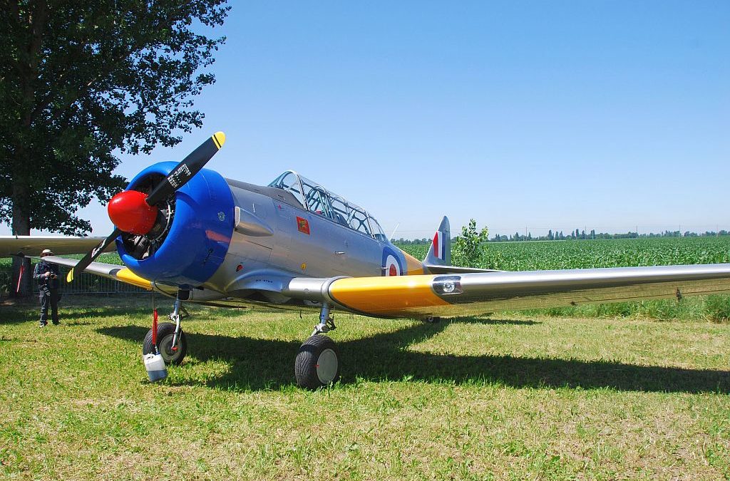 Harvard Display Team