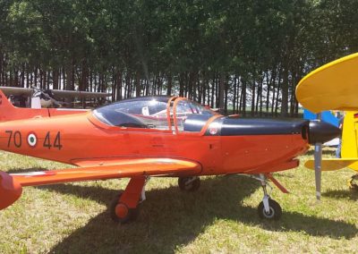 SIAI-Marchetti SF260AM