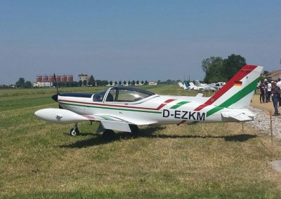 SIAI-Marchetti SF260D