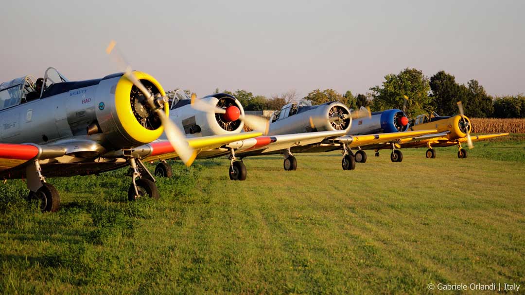 Harvard e Texan a Ceresara